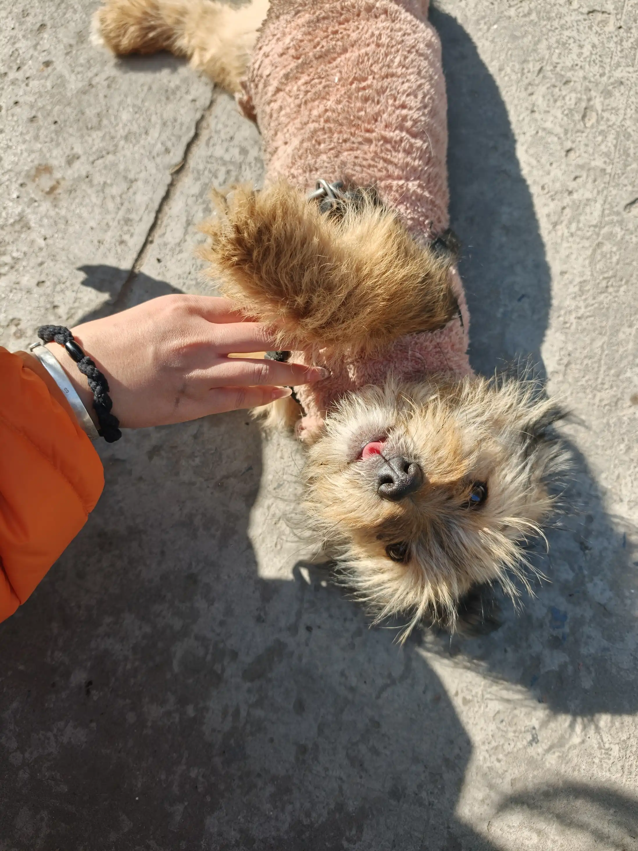 去小宋老家找她玩啦