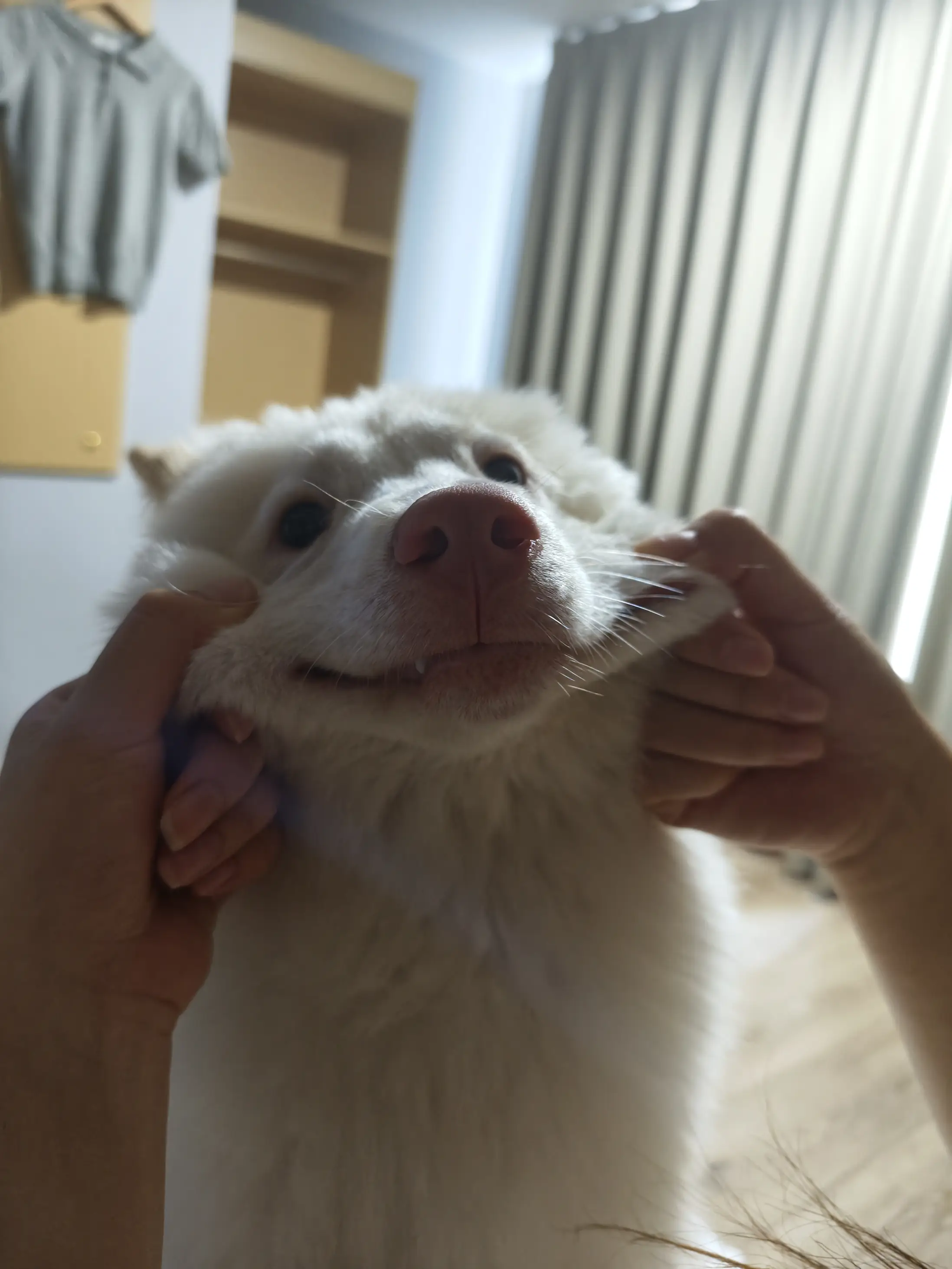 来郑州工作啦~